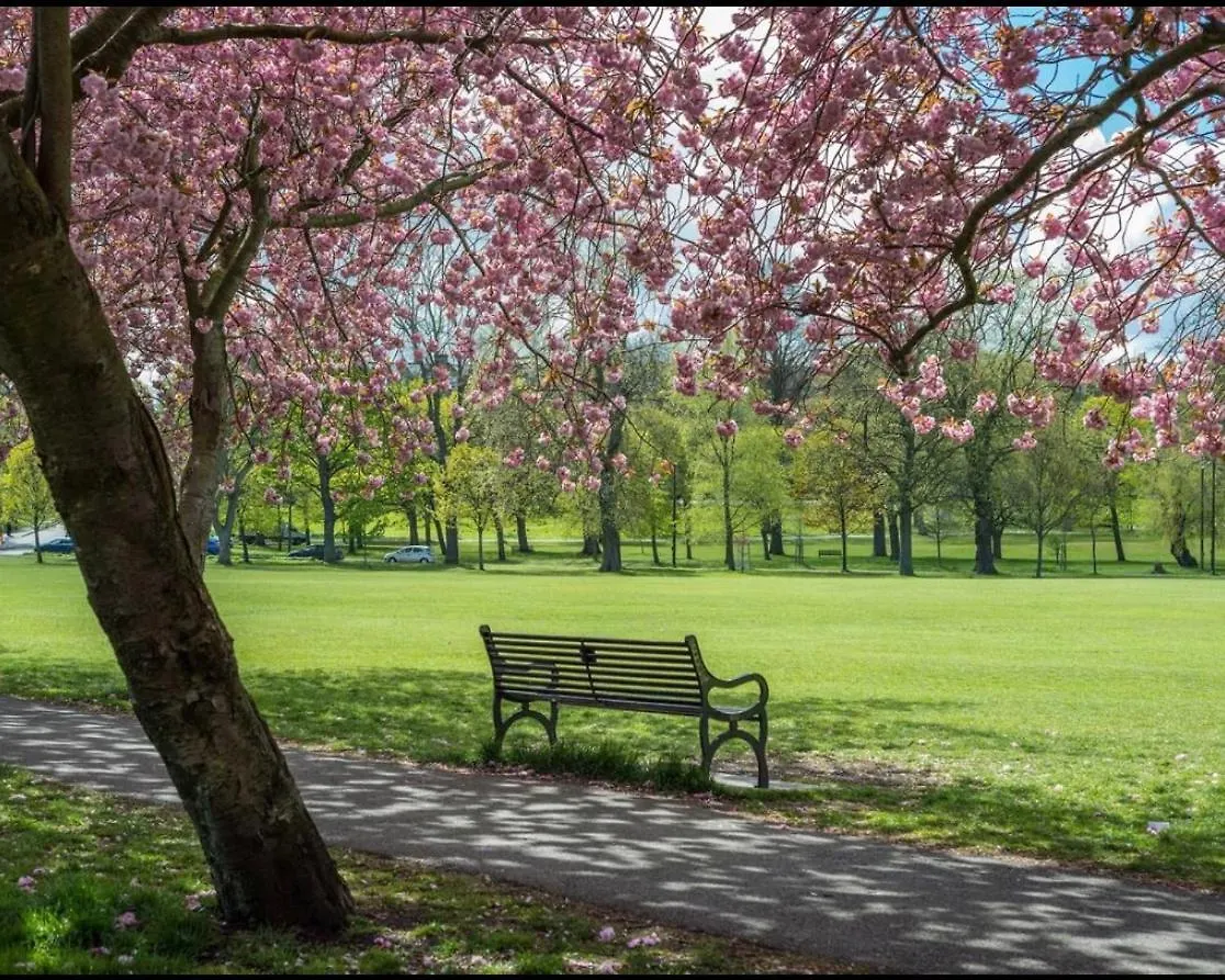 Meadows Den - Central Heart Of 爱丁堡 英国